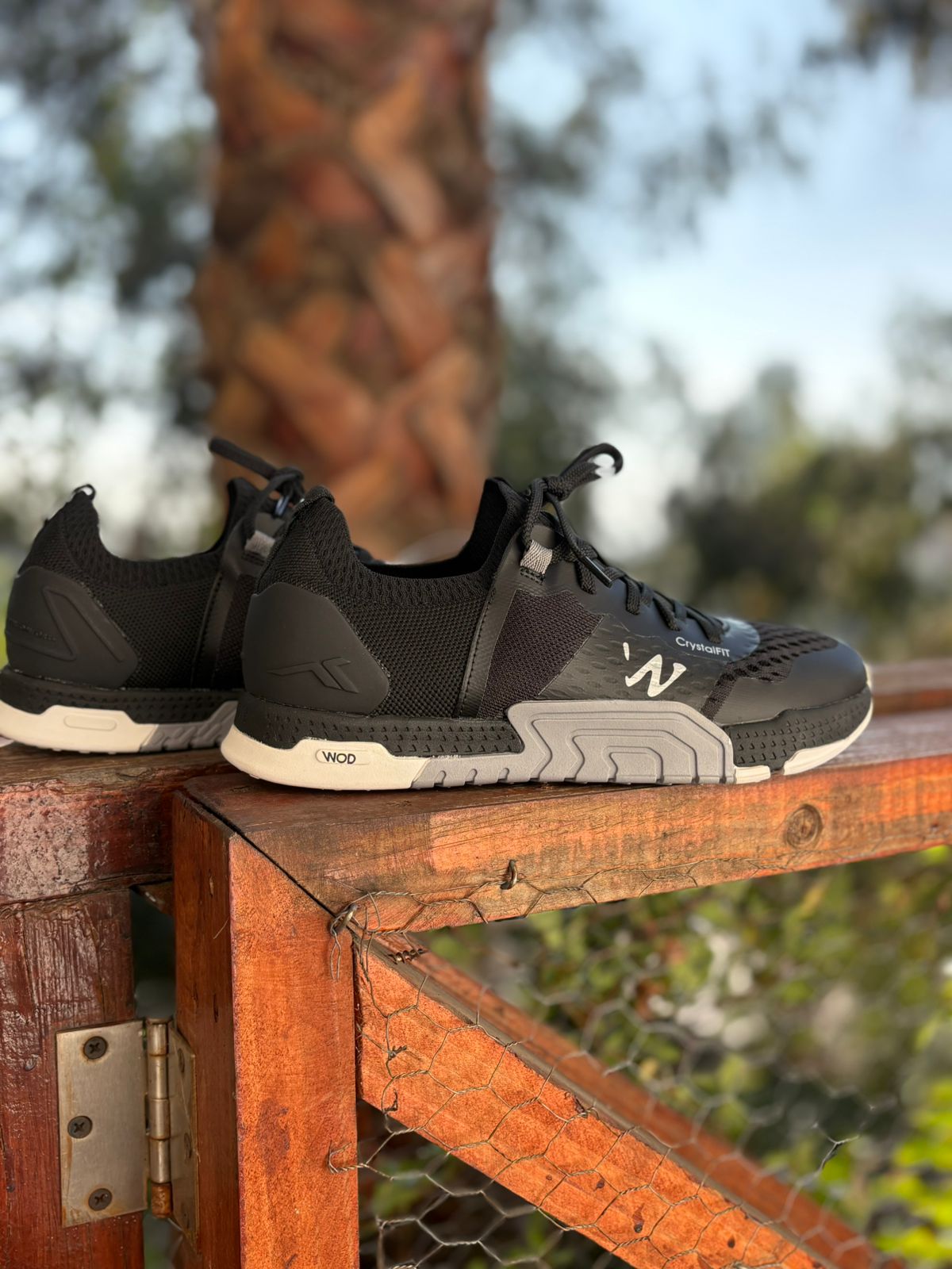 Zapatilla Pádel Tennis Pro